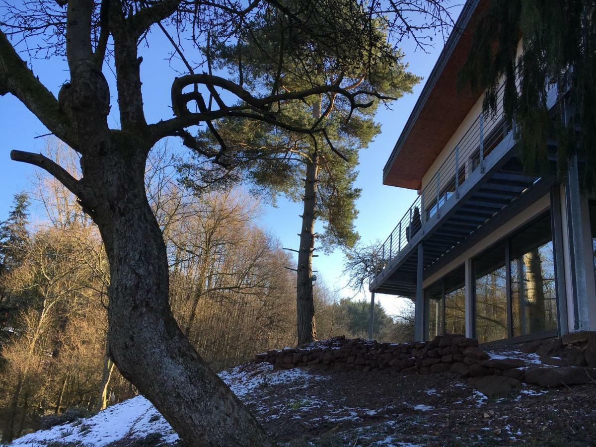 Haagalm Terrasse, Garten Nonnweiler Bagian luar foto